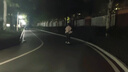 星板Star星板陸地沖浪板男女生S6彈簧橋滑雪免蹬滑板成人專業(yè)路沖新手 31寸 繁花 【熱賣爆款】 彈簧橋 曬單實拍圖