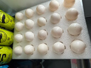 硒全食美 富硒新鮮鴿蛋  孕婦兒童寶寶鴿子蛋 20枚 366g 曬單實(shí)拍圖