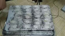 華爾（Huaer）速凍柜商用-45℃立式包子面團餃子速凍機-60℃榴蓮急凍柜液氮-80℃海鮮速凍冷柜 速凍柜【定制金】 曬單實(shí)拍圖