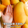 正宗金煌芒果【JD順豐中通速運】新鮮水果青皮芒果水果禮盒送禮 9斤【家庭暢享-超值裝】?jì)?斤 巨無(wú)霸果【單果300g+】越大越甜 曬單實(shí)拍圖