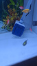 森森（SUNSUN）耀藍魚(yú)缸水泵小型潛水泵過(guò)濾泵抽水泵YQP-1000 15W 曬單實(shí)拍圖