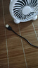 白色熊貓USB充電風(fēng)扇學(xué)生宿舍辦公室桌面風(fēng)扇家用輕音靜音4羽葉大風(fēng)量風(fēng)扇手持便攜戶(hù)外露營(yíng)風(fēng)扇 4寸白色小熊貓【插電款直徑10cm】 曬單實(shí)拍圖