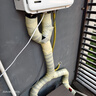 林內(nèi)（Rinnai）室外燃?xì)鉄崴?日本原裝進(jìn)口 A1620W/A2024W/A2426W家用防凍恒溫戶外安裝水量同服器實(shí)體店同款 20L 【室外機(jī)】REU-A2024W(K)-CH 天然氣 曬單實(shí)拍圖