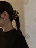 伊燦簡約金屬月牙耳環(huán)女2025新款爆款耳圈輕奢氣質(zhì)耳釘小眾高級感耳飾 簡約金屬月牙耳環(huán)-銀色大號 曬單實拍圖