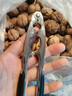 JCZS德國品牌開(kāi)核桃神器山核桃?jiàn)A子家用堅果榛子夏威夷果開(kāi)殼器剝胡桃 【橙色】四夾口升級防滑款(大小 曬單實(shí)拍圖