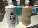 花王（KAO）洗潔精480ml 餐具果蔬進(jìn)口洗滌劑洗碗劑清潔劑洗滌靈泡沫洗碗液 曬單實(shí)拍圖