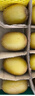 佳沛（zespri）綠奇異果16粒禮盒單果約86-103g 中秋水果禮盒 獼猴桃 曬單實(shí)拍圖