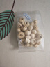 半山農 真四川川貝母（非平貝母）20g/罐 野生無(wú)熏硫送長(cháng)輩滋補中秋禮品 曬單實(shí)拍圖