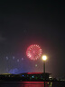 維爾斯全國向日葵康乃馨玫瑰抱抱桶花束配送喬遷之喜祝壽搬家鮮花小時(shí)達 平安福地2朵向日葵+33朵混搭玫瑰抱抱桶 曬單實(shí)拍圖