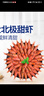禧美海產(chǎn)加拿大熟凍北極甜蝦1斤/袋 65-85只 (MSC認證) 海鮮水產(chǎn) 曬單實(shí)拍圖