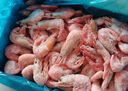 美加佳頭籽熟凍北極甜蝦凈重3斤 90/120規格 頭籽率95% 熟凍甜蝦 曬單實(shí)拍圖