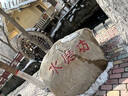 CLOR格子長(zhǎng)袖襯衫男士春秋季潮流ins寬松休閑襯衣外套 CLCX04黃色 L  曬單實(shí)拍圖