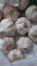 寶菜大蒜紫皮蒜頭25年山東金鄉(xiāng)地標(biāo)產(chǎn)品帶皮干蒜產(chǎn)地源頭直發(fā)包郵 精品大果-凈重1.8斤裝 單果5.5cm 曬單實(shí)拍圖