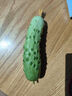 北蔬 黃瓜種子苗強雌旱黃瓜摘不敗四季蔬菜種籽 海吉亞秋黃瓜種子40粒 曬單實(shí)拍圖