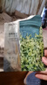 珀萊雅（PROYA）面膜 小球藻面膜 保濕海藻面膜補水面膜女男20片 曬單實(shí)拍圖