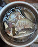 達億瓦（DAIWA）25新款空氣磯淡水滑漂竿大導環(huán)磯釣遠投泛用海釣竿十大品牌 3.9m 2-39（2號-3米9） 曬單實(shí)拍圖