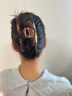 東義嚴(yán)選發(fā)夾女2025款高級感后腦勺盤發(fā)抓夾鯊魚夾子磨砂質(zhì)感發(fā)飾輕奢發(fā)卡 曬單實拍圖