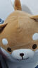 名創(chuàng  )優(yōu)品（MINISO）小豬柴犬狗抱枕靠枕床頭靠墊趴睡枕沙發(fā)卡通可愛(ài)軟沙發(fā)布藝擺件 趣味阿柴抱枕 曬單實(shí)拍圖