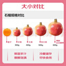 京鮮生突尼斯軟籽石榴巨無(wú)霸果 6粒禮盒裝 單果500g+水果禮盒 曬單實(shí)拍圖