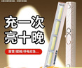心有所屬（Heart LocK）充電式應急照明燈戶(hù)外露營(yíng)磁吸led燈泡手電筒專(zhuān)用擺攤地攤夜市燈 曬單實(shí)拍圖