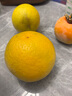 京鮮生 紅心珍珠芭樂 番石榴 凈重3斤 單果150g+ 生鮮水果中秋禮盒 曬單實拍圖