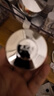 蘭蔻超修小黑瓶眼霜20ml抗老淡化黑眼圈護膚品禮盒教師節生日禮物 曬單實(shí)拍圖
