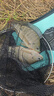 船長漂船長浮漂C35羅非魚漂蘆葦大漆黑坑競技鯽魚高靈敏醒目魚標(biāo) C35【重紅重綠尾】 2號一支 曬單實(shí)拍圖