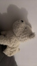 babycare&bct兒童毛絨玩具狗電子哈基米寵物玩偶節日生日七夕禮物西高地犬 曬單實(shí)拍圖