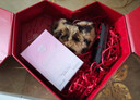 范思哲（VERSACE）摯愛(ài)香水禮盒粉耀晶鉆女士香水30ml節日禮物生日禮物送女友 曬單實(shí)拍圖