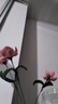 母親節(jié)禮物郁金香花束扭扭棒diy材料包手工花束情侶情人節(jié)女神節(jié)禮物手工扭編織毛根郁金香花朵 【郁金香花5朵】材料包 曬單實(shí)拍圖