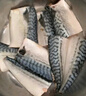 繽鮮 挪威青花魚片 5片裝 生鮮鯖魚 新鮮冷凍青魚鮐魚似鲅魚 魚類海鮮 1000g【170-220g/片】凈重5片 曬單實拍圖