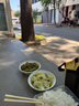吾雙開(kāi)心果蔓越莓貝果340g早餐速食歐包全麥漢堡烘焙面包胚【4根裝】 曬單實(shí)拍圖