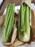 京鮮生山東新鮮大西芹凈重4.5斤榨汁現挖芹菜鮮嫩蔬菜 去半葉源頭直發(fā) 曬單實(shí)拍圖