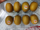佳沛（zespri）新西蘭  陽(yáng)光金奇異果16粒禮盒經(jīng)典果單果約 77-103g 水果 獼猴桃 曬單實(shí)拍圖