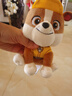 汪汪隊立大功（PAW PATROL）汪汪隊玩具毛絨全套狗狗玩偶公仔男女孩玩具旺旺隊生日禮物 經(jīng)典款-小礫公仔【需選尺寸】 小號-坐高約15.2CM 曬單實(shí)拍圖