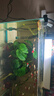 森森（SUNSUN）耀藍魚(yú)缸水泵小型潛水泵過(guò)濾泵抽水泵YQP-1000 15W 曬單實(shí)拍圖