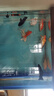 錦鯉魚(yú)活體觀(guān)賞魚(yú)活魚(yú)小型易養冷水淡水魚(yú)小魚(yú)苗錦鯉金魚(yú)好看錦鯉 16-18 六彩錦鯉套餐6條 曬單實(shí)拍圖