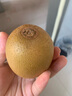 佳沛（zespri）新西蘭  陽光金奇異果10粒禮盒巨大果單果約144-175g 水果 獼猴桃 曬單實拍圖