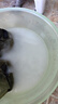藍月亮衣物消毒液3kg 衣服除菌液殺菌率99.999%可搭配內外衣褲洗衣液 曬單實(shí)拍圖