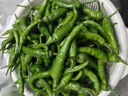 果小云樟樹(shù)港辣椒新鮮蔬菜薄皮嫩青椒湖南岳陽(yáng)下飯菜正宗旗艦店整箱順豐 5斤【順豐包郵】 曬單實(shí)拍圖