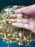 精品鹿茸菇干貨500g包郵正品古田菌菇新鮮特級(jí)土特產(chǎn)煲湯食材香菇 鹿茸菇袋裝50g 曬單實(shí)拍圖