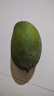 京覓四川凱特芒果新鮮水果凈重4.5斤單果400g+源頭直發(fā)包郵 曬單實(shí)拍圖