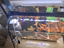 吉印刀鋒s魚(yú)缸燈led燈防水全光譜魚(yú)缸照明燈水草燈小型超白魚(yú)燈36cm 曬單實(shí)拍圖