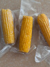 東北黃糯玉米真空包裝速食玉米軟糯香甜代餐小棒140g-180g 3根裝 曬單實拍圖