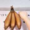 正宗福建紅美人香蕉新鮮當(dāng)季水果小米蕉芭蕉皇帝蕉青香蕉蘋果蕉 3斤裝【精選果】 曬單實拍圖