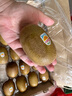 佳沛（zespri）新西蘭  陽(yáng)光金果18粒原箱單果重173-204g 獼猴桃 中秋水果禮盒 曬單實(shí)拍圖