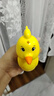 乖明星水鳥口哨兒童發(fā)音訓(xùn)練可注水加水會(huì)學(xué)鳥叫嬰幼兒喇叭小鳥哨子玩具 曬單實(shí)拍圖