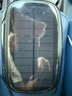 聚車(chē)寶2025太陽(yáng)能車(chē)載空氣凈化器汽車(chē)除甲醛車(chē)除異味負離子活氧殺菌香薰 【隨車(chē)啟?！刻?yáng)能高效除菌凈化 曬單實(shí)拍圖