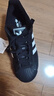 阿迪達斯 （adidas）三葉草男女新款貝殼頭二代SUPERSTAR II明星同款經(jīng)典板鞋運動鞋 JI0079【曬圖退10】 42 曬單實拍圖