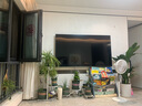 花財(cái)主天堂鳥盆栽辦公室大型綠植客廳盆栽家用吸甲醛凈化空氣綠植 6-7天堂鳥1.4-1.5m【圓柱盆】 曬單實(shí)拍圖